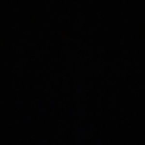 Meet your Posher, Lani